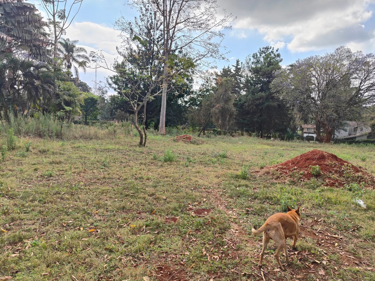 Gigiri Land For Sale